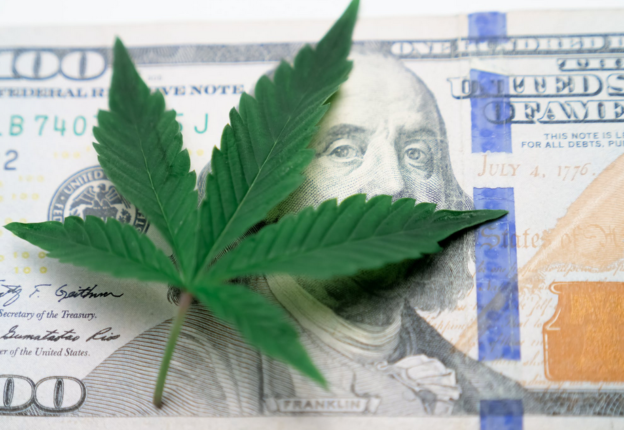 weed buying